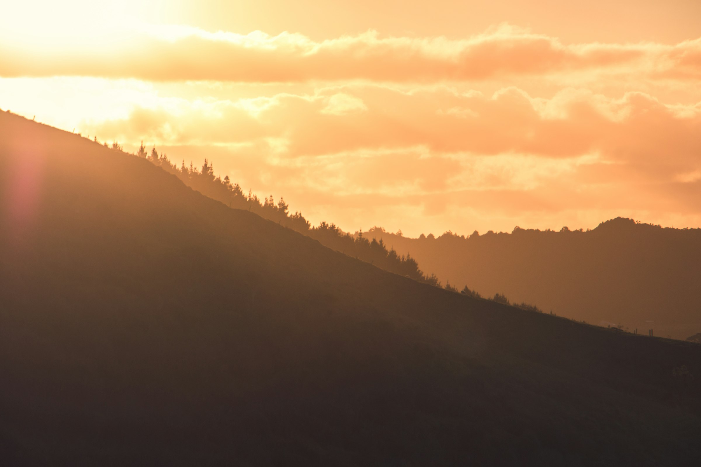 Golden-hour light over New Zealand ridgelines receding into mist.
