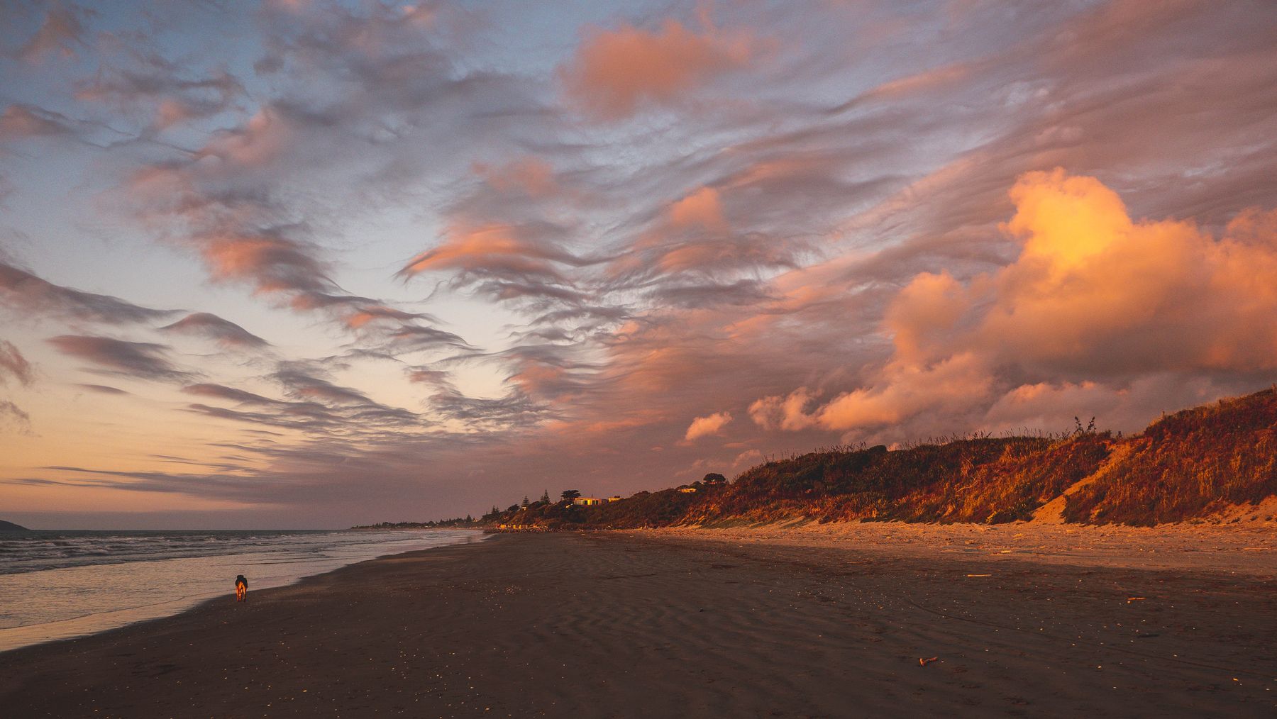 Golden dusk light over the Kapiti Coast shoreline.